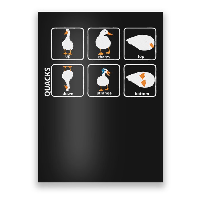 Funny Physics Pun Duck Teacher Science Math Poster