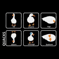 Funny Physics Pun Duck Teacher Science Math Poster
