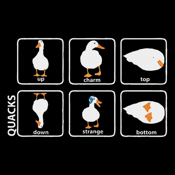Funny Physics Pun Duck Teacher Science Math Poster