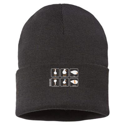Funny Physics Pun Duck Teacher Science Math Sustainable Knit Beanie