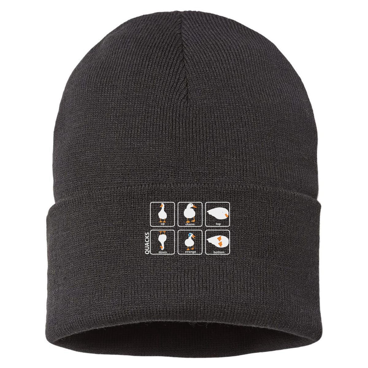 Funny Physics Pun Duck Teacher Science Math Sustainable Knit Beanie