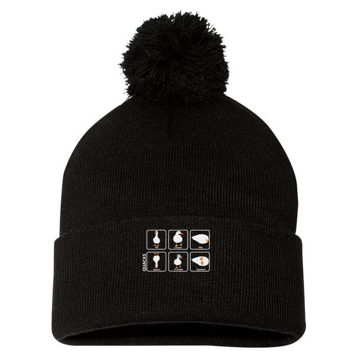 Funny Physics Pun Duck Teacher Science Math Pom Pom 12in Knit Beanie