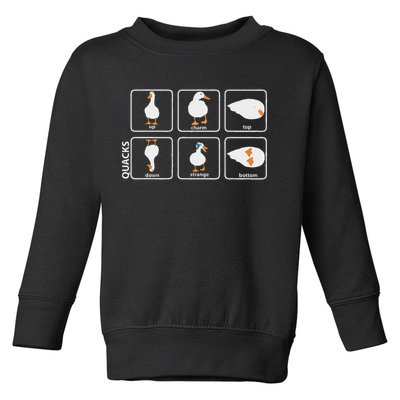 Funny Physics Pun Duck Teacher Science Math Toddler Sweatshirt