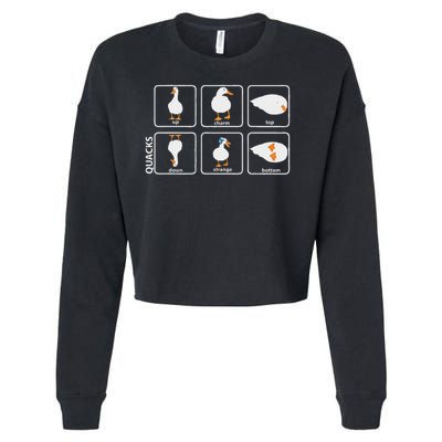 Funny Physics Pun Duck Teacher Science Math Cropped Pullover Crew