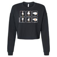 Funny Physics Pun Duck Teacher Science Math Cropped Pullover Crew
