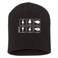 Funny Physics Pun Duck Teacher Science Math Short Acrylic Beanie