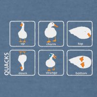 Funny Physics Pun Duck Teacher Science Math Garment-Dyed Sweatshirt