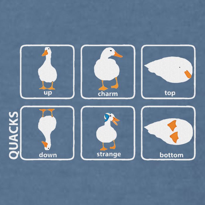 Funny Physics Pun Duck Teacher Science Math Garment-Dyed Sweatshirt