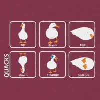 Funny Physics Pun Duck Teacher Science Math 16oz Travel Tumbler