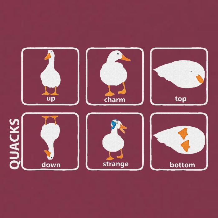 Funny Physics Pun Duck Teacher Science Math 16oz Travel Tumbler