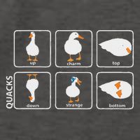 Funny Physics Pun Duck Teacher Science Math Vector Backpack