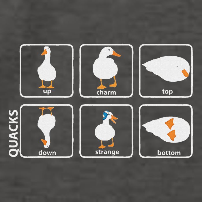Funny Physics Pun Duck Teacher Science Math Vector Backpack