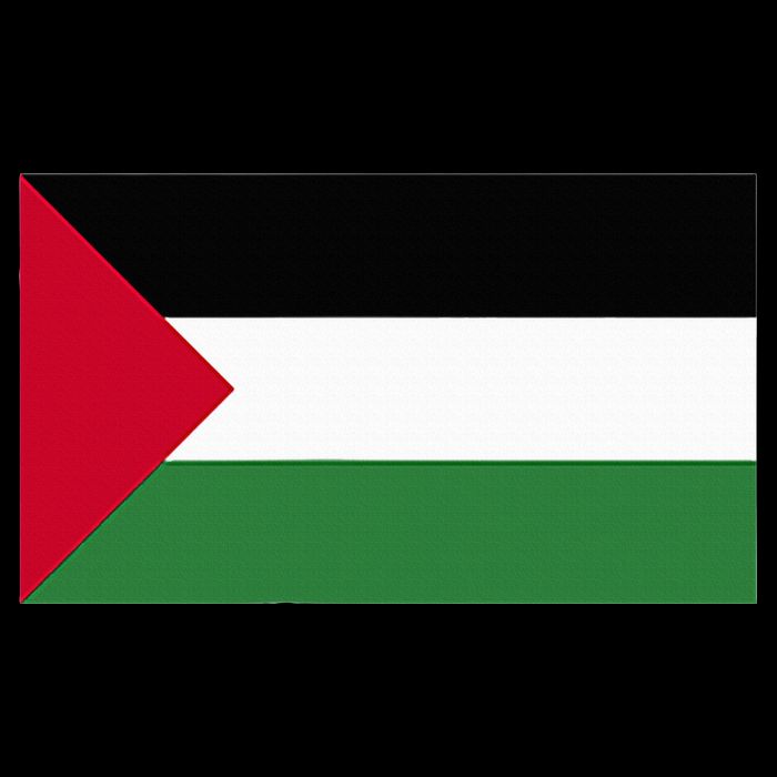 Free Palestine Palestine Flag Cooling Performance Crew T-Shirt
