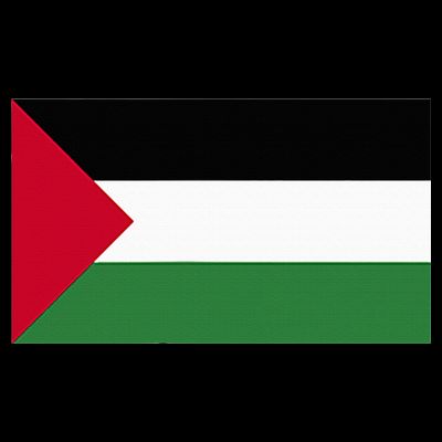 Free Palestine Palestine Flag T-Shirt