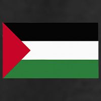 Free Palestine Palestine Flag Adult Drive Performance Visor