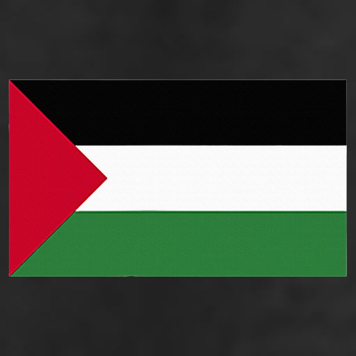 Free Palestine Palestine Flag Adult Drive Performance Visor