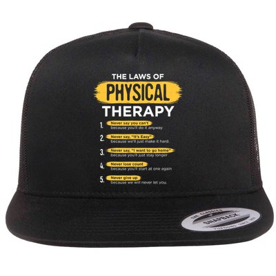 Funny PT Physical Therapy Gift Therapist Month TShirt Flatbill Hat