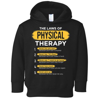 Funny PT Physical Therapy Gift Therapist Month TShirt Toddler Hoodie