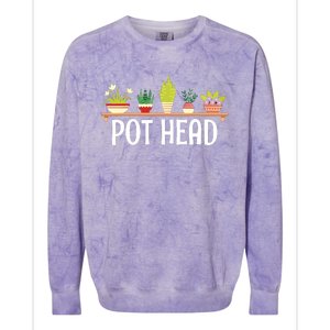 Funny Pot Plants Head Cute Funny Succulent Garden Gardening Colorblast Crewneck Sweatshirt