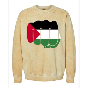 Free Palestine Palestine Flag Support Colorblast Crewneck Sweatshirt