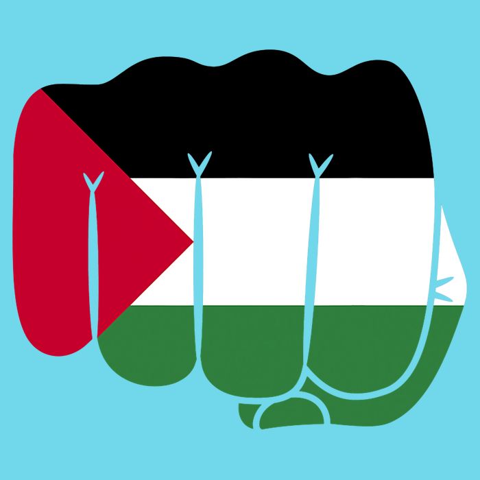 Free Palestine Palestine Flag Support Button