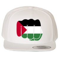 Free Palestine Palestine Flag Support Wool Snapback Cap