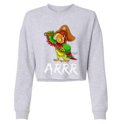 Funny Pirate Parrot With Sabre Halloween Costume Premium Cropped Pullover Crew