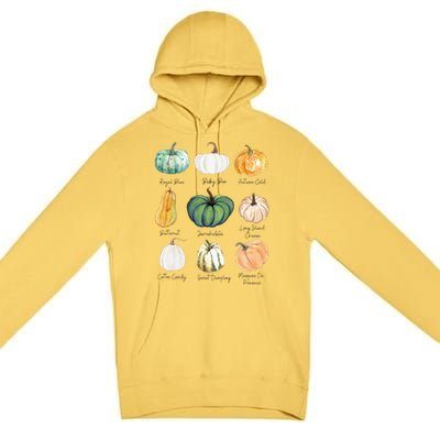 Fall Pumpkins Pumpkin Types And Varieties Premium Pullover Hoodie