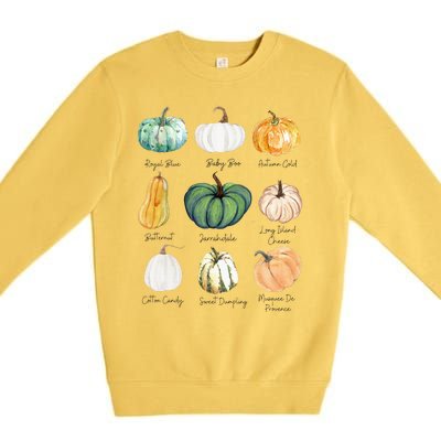 Fall Pumpkins Pumpkin Types And Varieties Premium Crewneck Sweatshirt