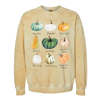 Fall Pumpkins Pumpkin Types And Varieties Colorblast Crewneck Sweatshirt