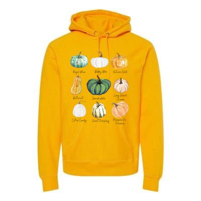 Fall Pumpkins Pumpkin Types And Varieties Premium Hoodie