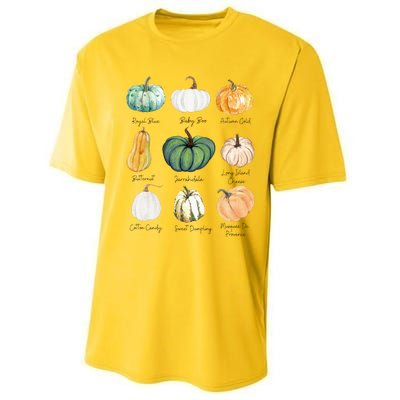 Fall Pumpkins Pumpkin Types And Varieties Performance Sprint T-Shirt