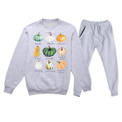 Fall Pumpkins Pumpkin Types And Varieties Premium Crewneck Sweatsuit Set