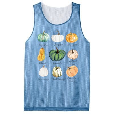 Fall Pumpkins Pumpkin Types And Varieties Mesh Reversible Basketball Jersey Tank