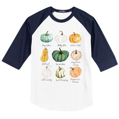 Fall Pumpkins Pumpkin Types And Varieties Baseball Sleeve Shirt