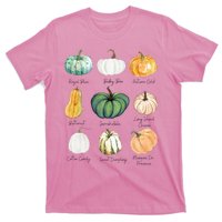 Fall Pumpkins Pumpkin Types And Varieties T-Shirt