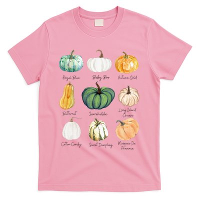 Fall Pumpkins Pumpkin Types And Varieties T-Shirt