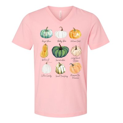 Fall Pumpkins Pumpkin Types And Varieties V-Neck T-Shirt