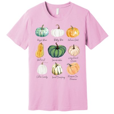 Fall Pumpkins Pumpkin Types And Varieties Premium T-Shirt