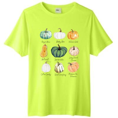 Fall Pumpkins Pumpkin Types And Varieties Tall Fusion ChromaSoft Performance T-Shirt