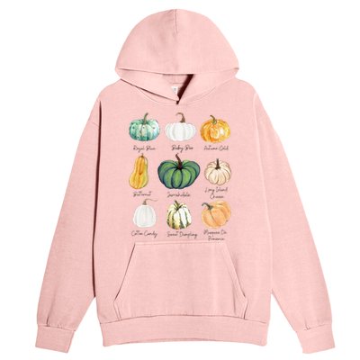 Fall Pumpkins Pumpkin Types And Varieties Urban Pullover Hoodie