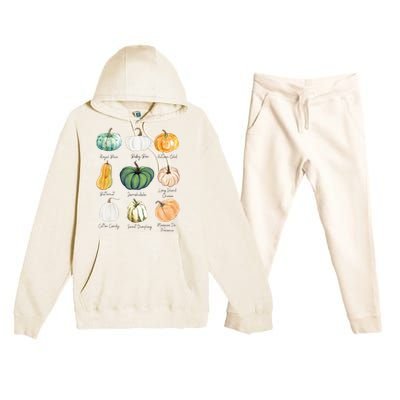 Fall Pumpkins Pumpkin Types And Varieties Premium Hooded Sweatsuit Set