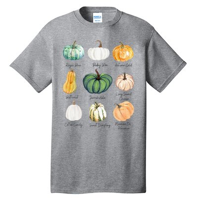 Fall Pumpkins Pumpkin Types And Varieties Tall T-Shirt