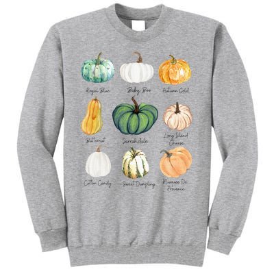 Fall Pumpkins Pumpkin Types And Varieties Tall Sweatshirt