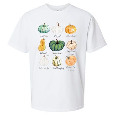 Fall Pumpkins Pumpkin Types And Varieties Sueded Cloud Jersey T-Shirt