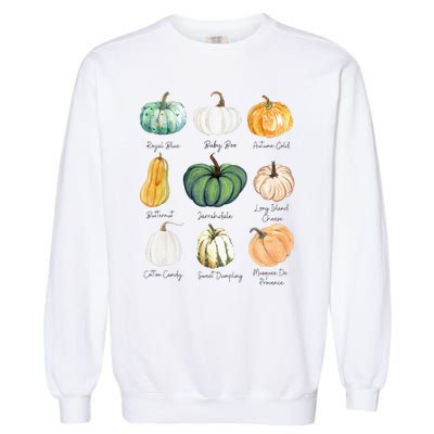 Fall Pumpkins Pumpkin Types And Varieties Garment-Dyed Sweatshirt