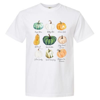 Fall Pumpkins Pumpkin Types And Varieties Garment-Dyed Heavyweight T-Shirt