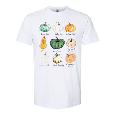 Fall Pumpkins Pumpkin Types And Varieties Softstyle CVC T-Shirt