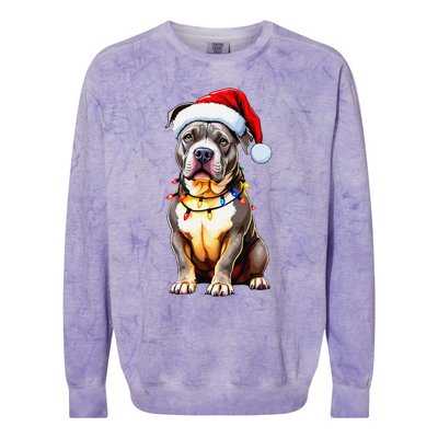 Funny Pitbull Pittie Santa Dog Lover Xmas Christmas Lights Colorblast Crewneck Sweatshirt