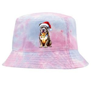 Funny Pitbull Pittie Santa Dog Lover Xmas Christmas Lights Tie-Dyed Bucket Hat